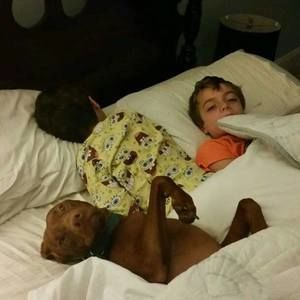 Meet your Posher, Ellen